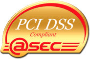 PCI DSS